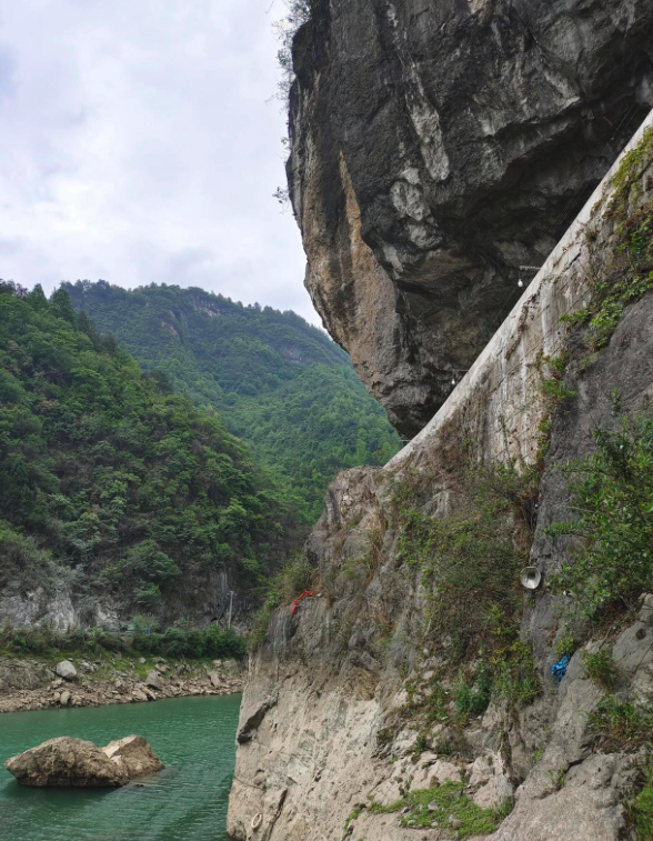 龙山：好吃是真的好吃